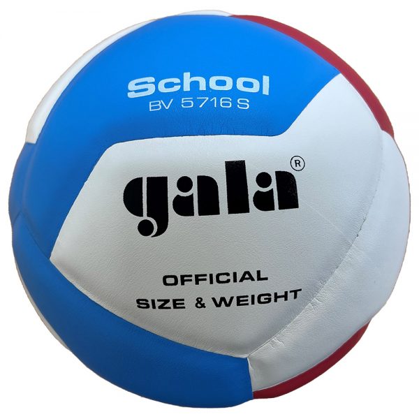 Мяч волейбольный №5 GALA School 12