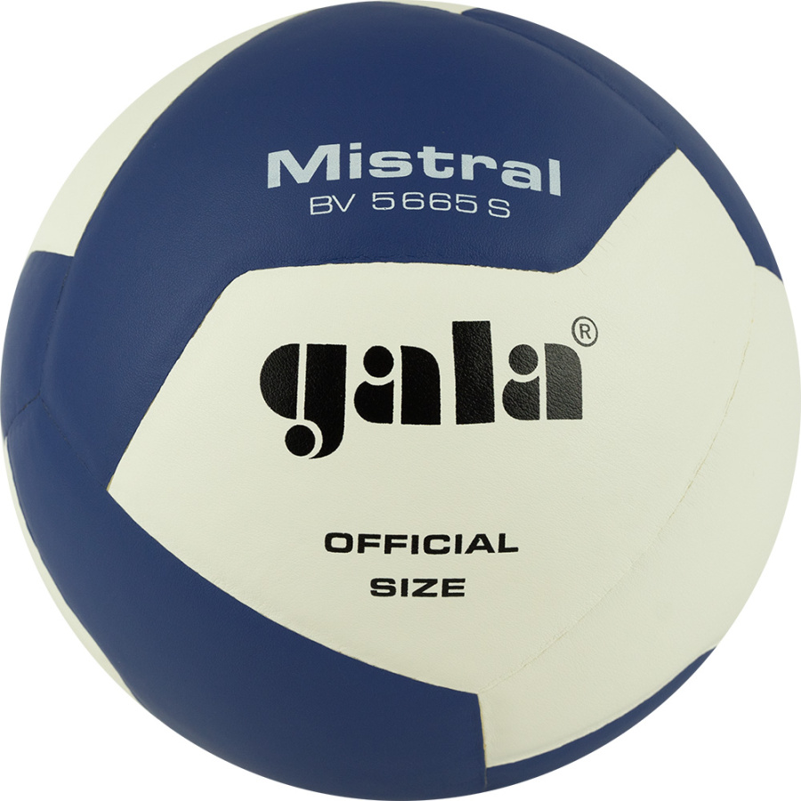 Мяч волейбольный GALA Mistral 12, размер 5