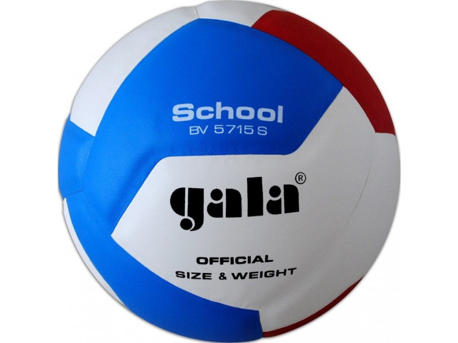 Мяч волейбольный №5 GALA School 12