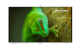 Интерактивная панель Geckotouch Interactive 65RT